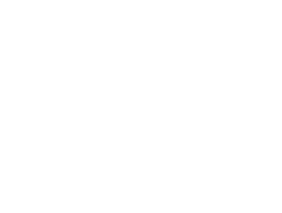 shakerandpunch_logo